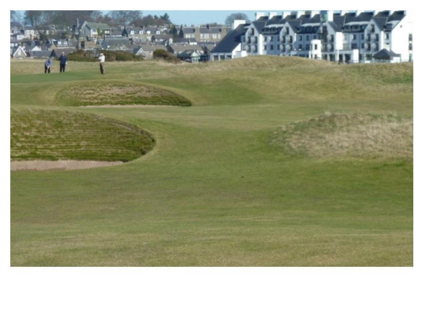 Bed and Breakfast Park House Carnoustie Esterno foto